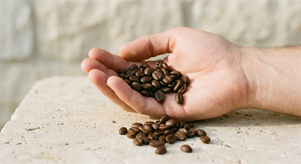 Doğru Çekirdek Kahve Nasıl Seçilir?